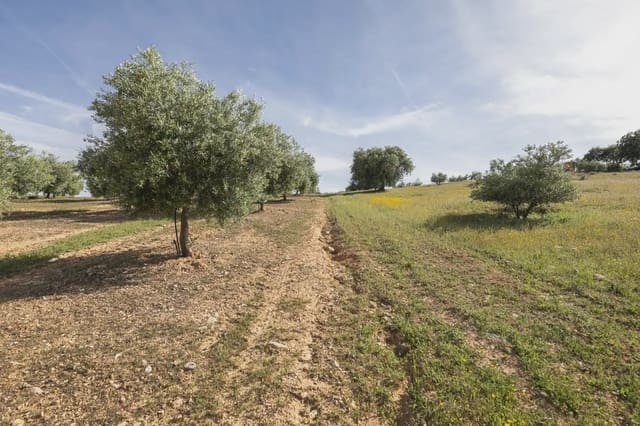 Ubebygd land til salgs i Güevéjar - € 20 000 (Ref: 9867241)