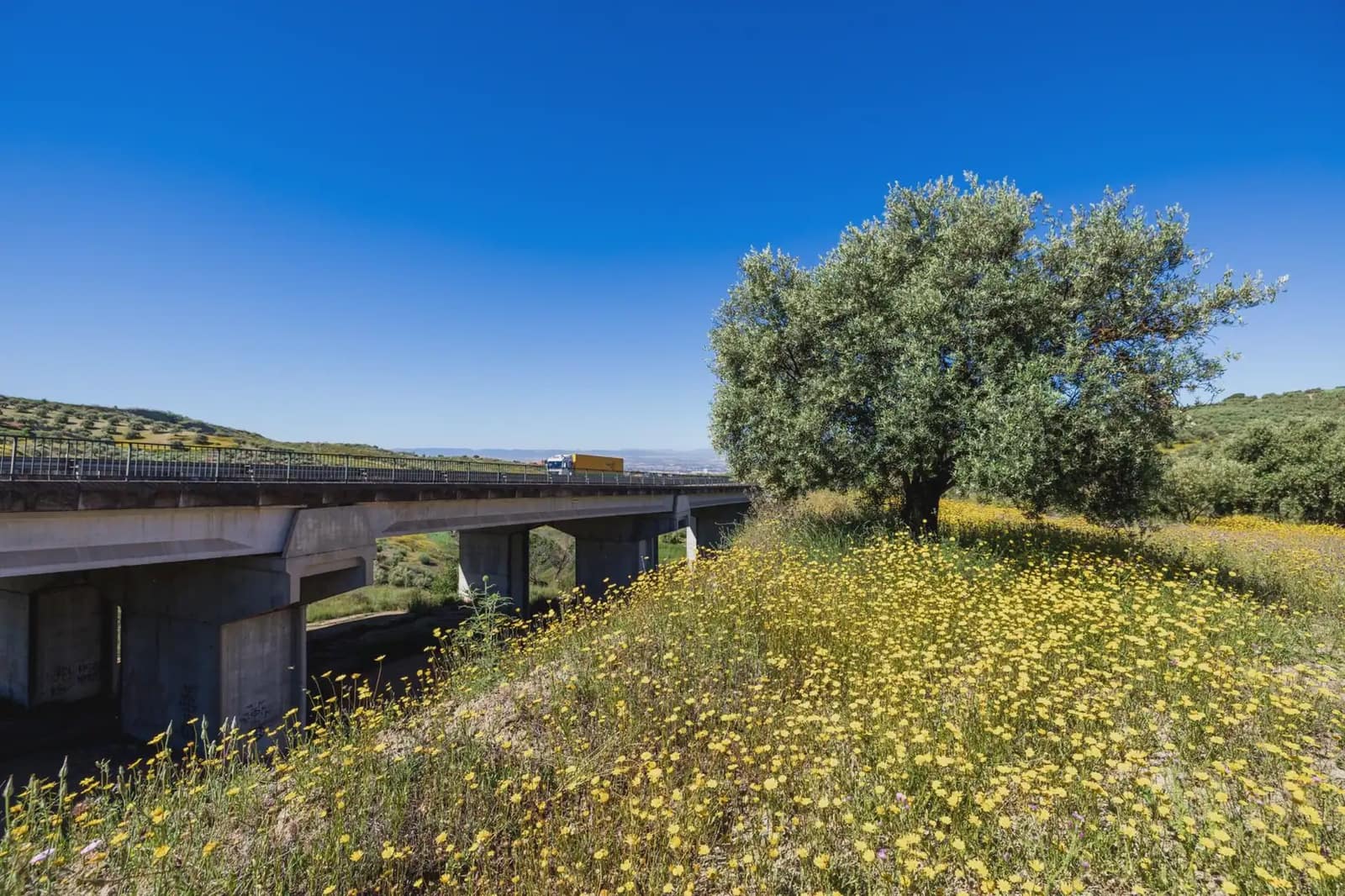 Finca/Herregård til salgs i Alfacar - € 35 000 (Ref: 9871999)