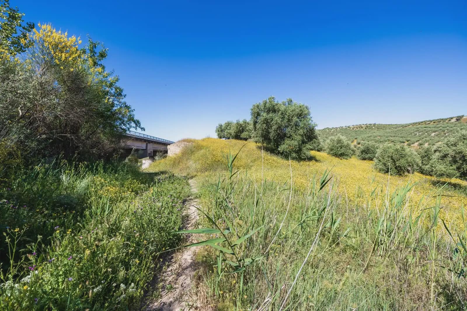 Finca/Herregård til salgs i Alfacar - € 35 000 (Ref: 9871999)