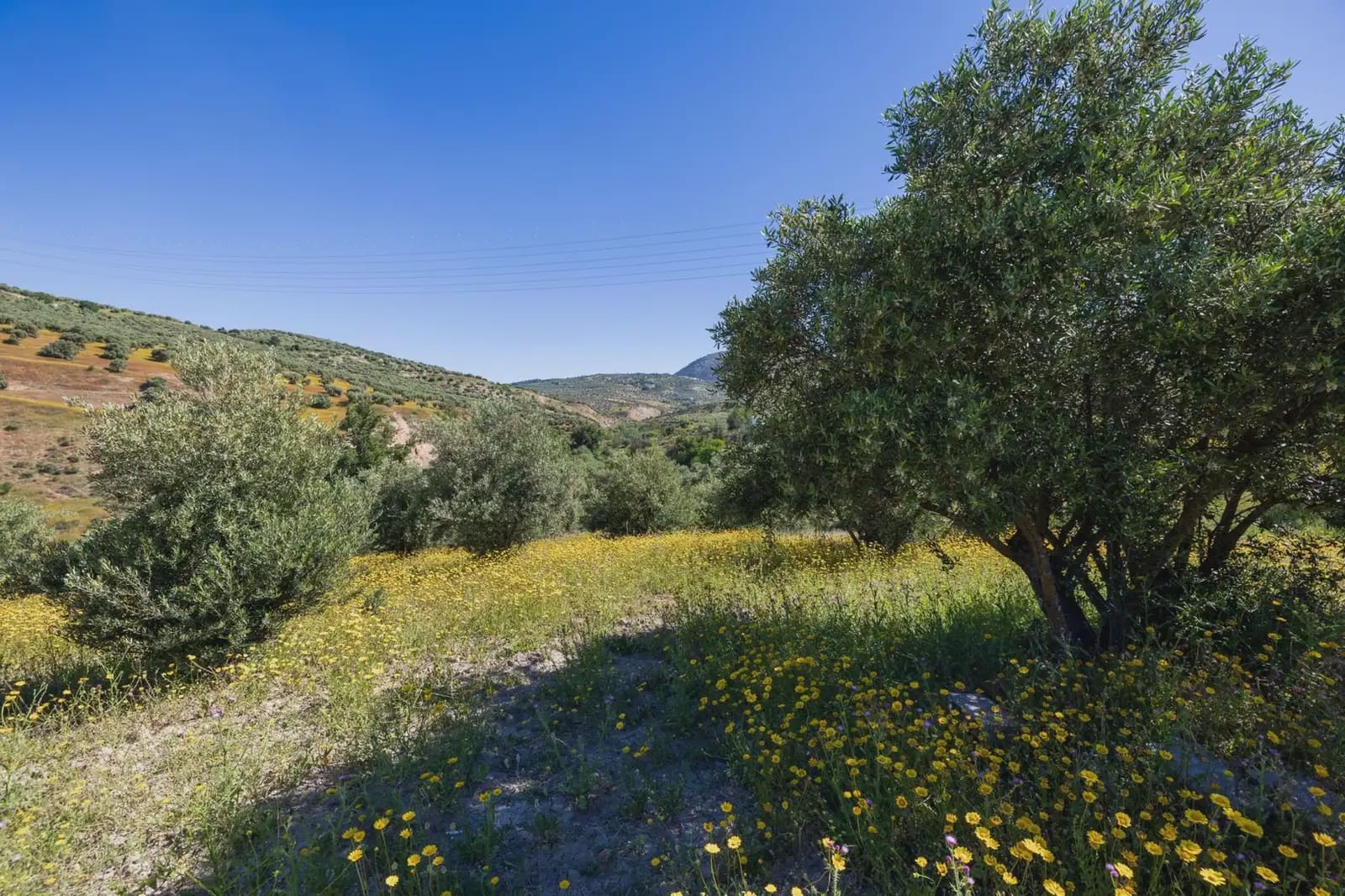 Finca/Herregård til salgs i Alfacar - € 35 000 (Ref: 9871999)