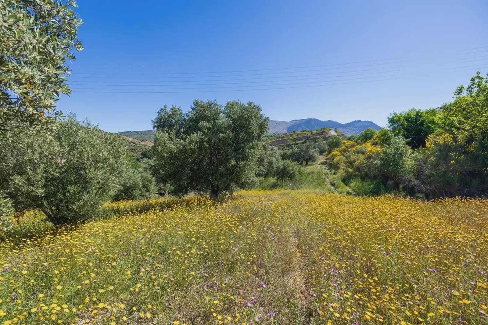 Finca/Herregård til salgs i Alfacar - € 35 000 (Ref: 9871999)