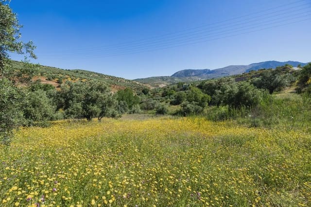 Finca/Herregård til salgs i Alfacar - € 35 000 (Ref: 9871999)