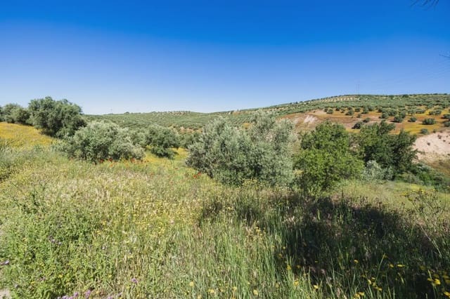 Finca/Herregård til salgs i Alfacar - € 35 000 (Ref: 9871999)