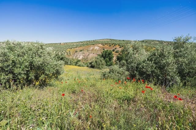 Finca/Herregård til salgs i Alfacar - € 35 000 (Ref: 9871999)