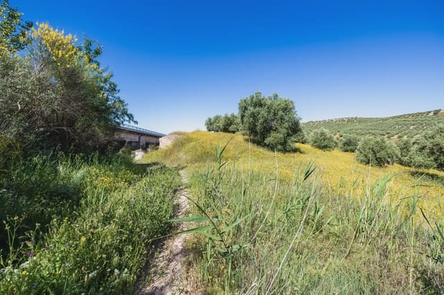Finca/Herregård til salgs i Alfacar - € 35 000 (Ref: 9871999)