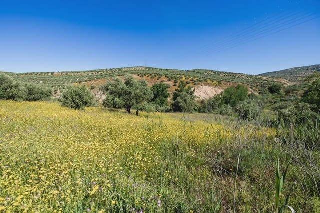 Finca/Herregård til salgs i Alfacar - € 35 000 (Ref: 9871999)