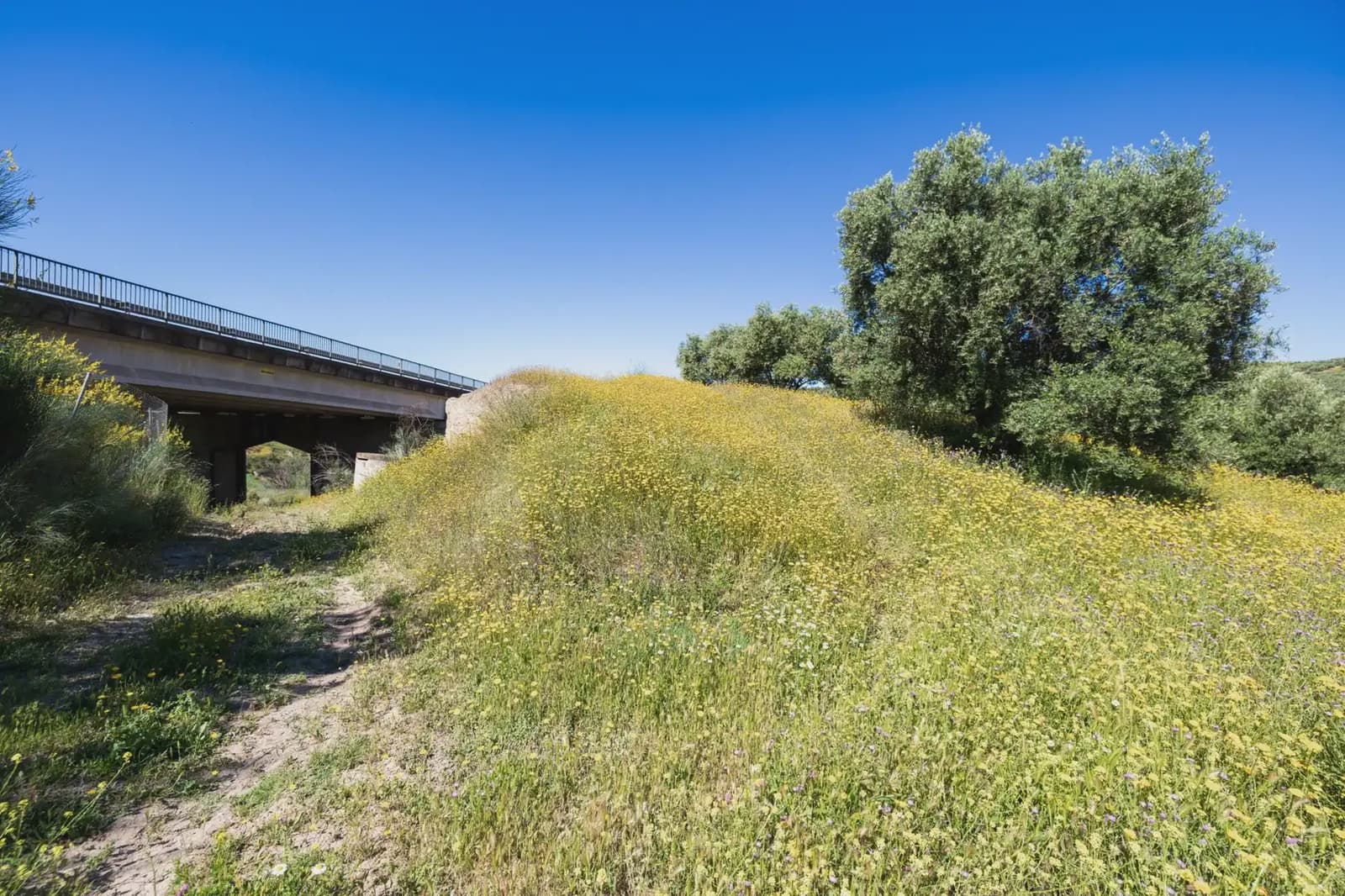 Finca/Herregård til salgs i Alfacar - € 35 000 (Ref: 9871999)