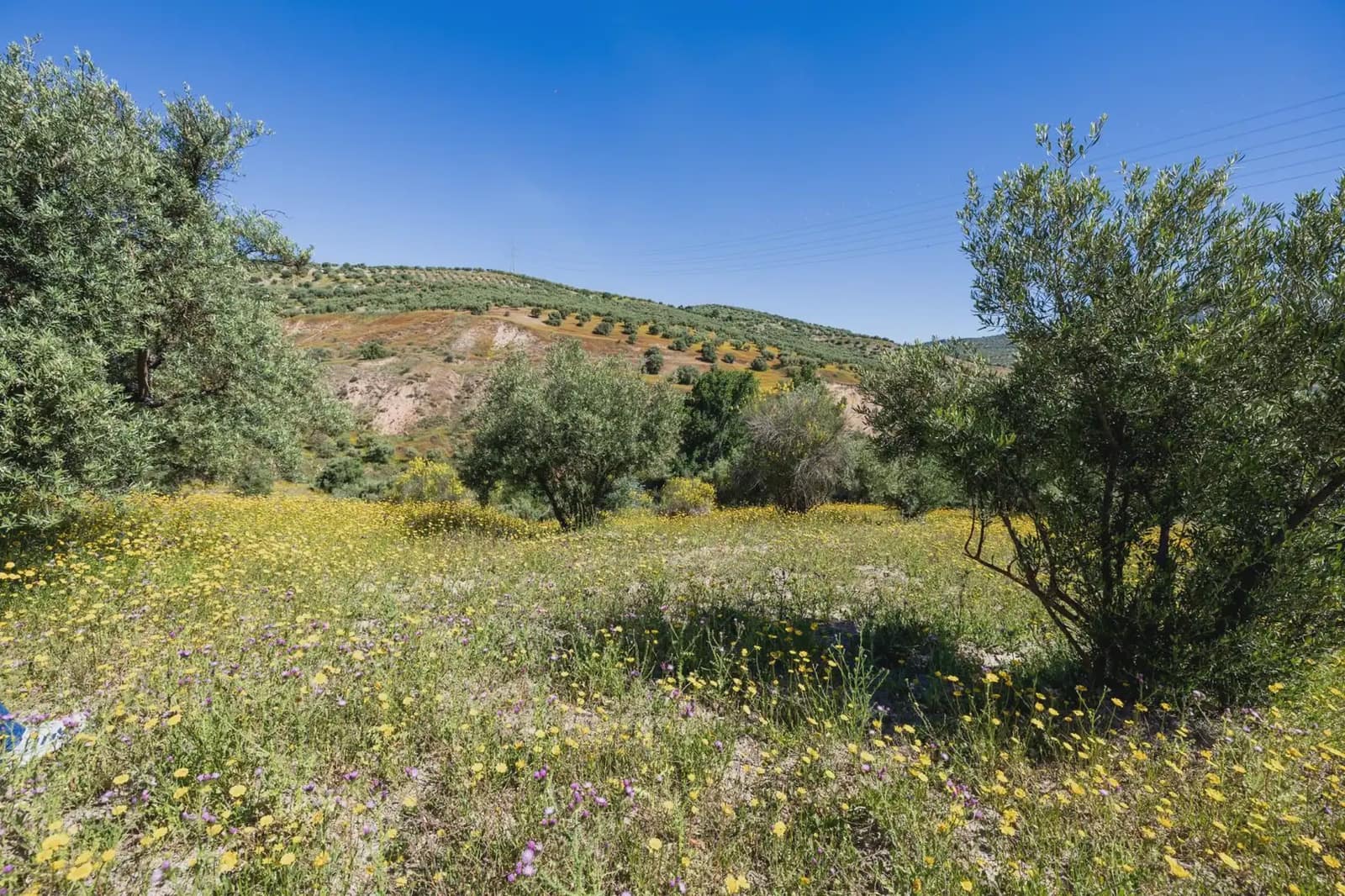 Finca/Herregård til salgs i Alfacar - € 35 000 (Ref: 9871999)