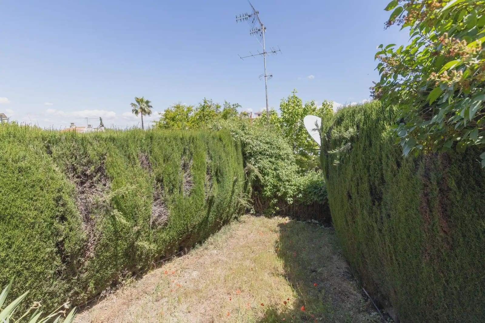 3 slaapkamer Villa te koop in La Zubia met zwembad garage - € 330.000 (Ref: 9902630)