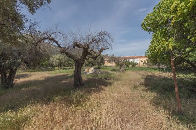Bauplatz zu verkaufen in Güéjar Sierra - 175.000 € (Ref: 9909813)