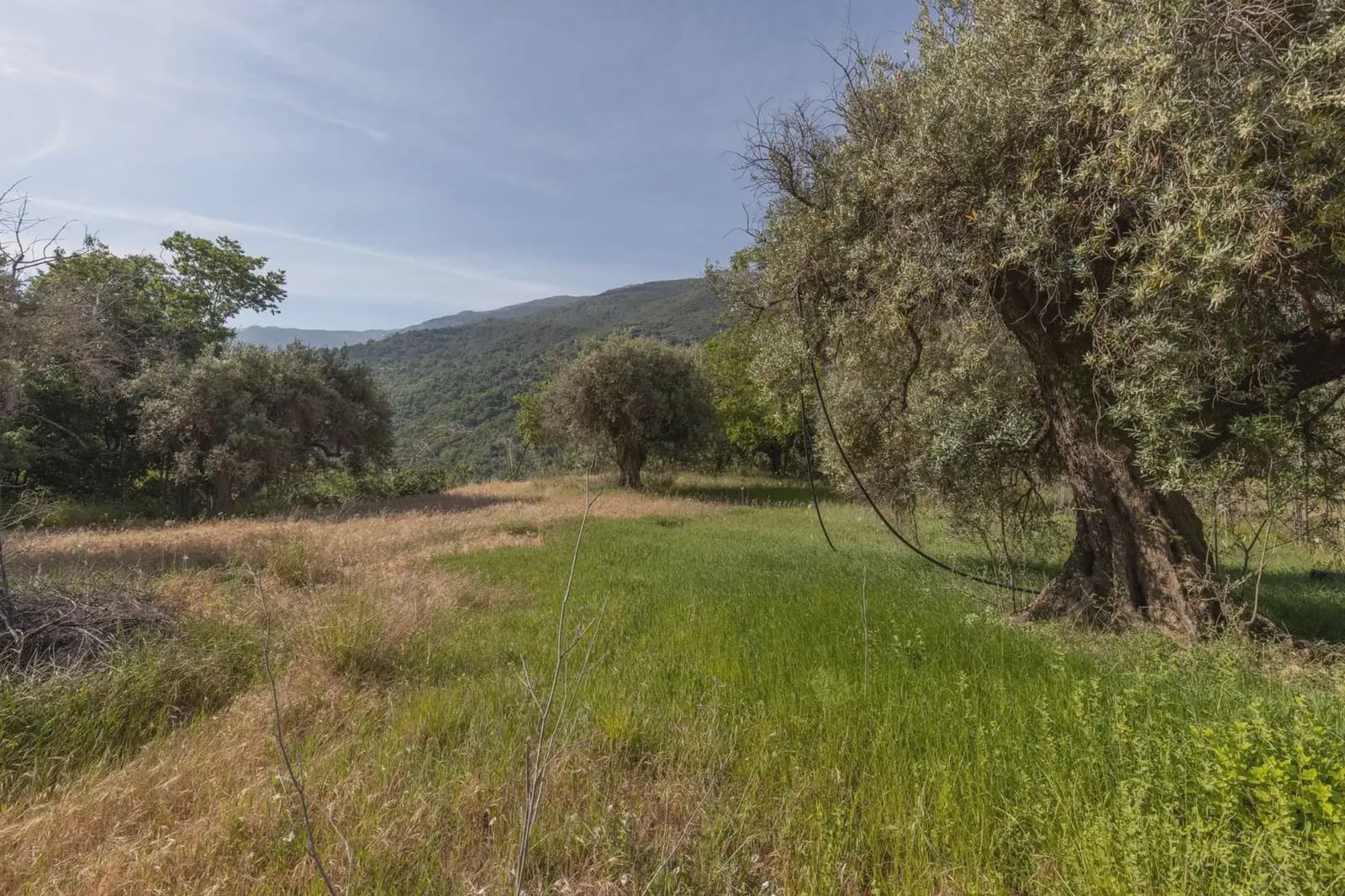 Bauplatz zu verkaufen in Guejar Sierra - 175.000 € (Ref: 9909813)