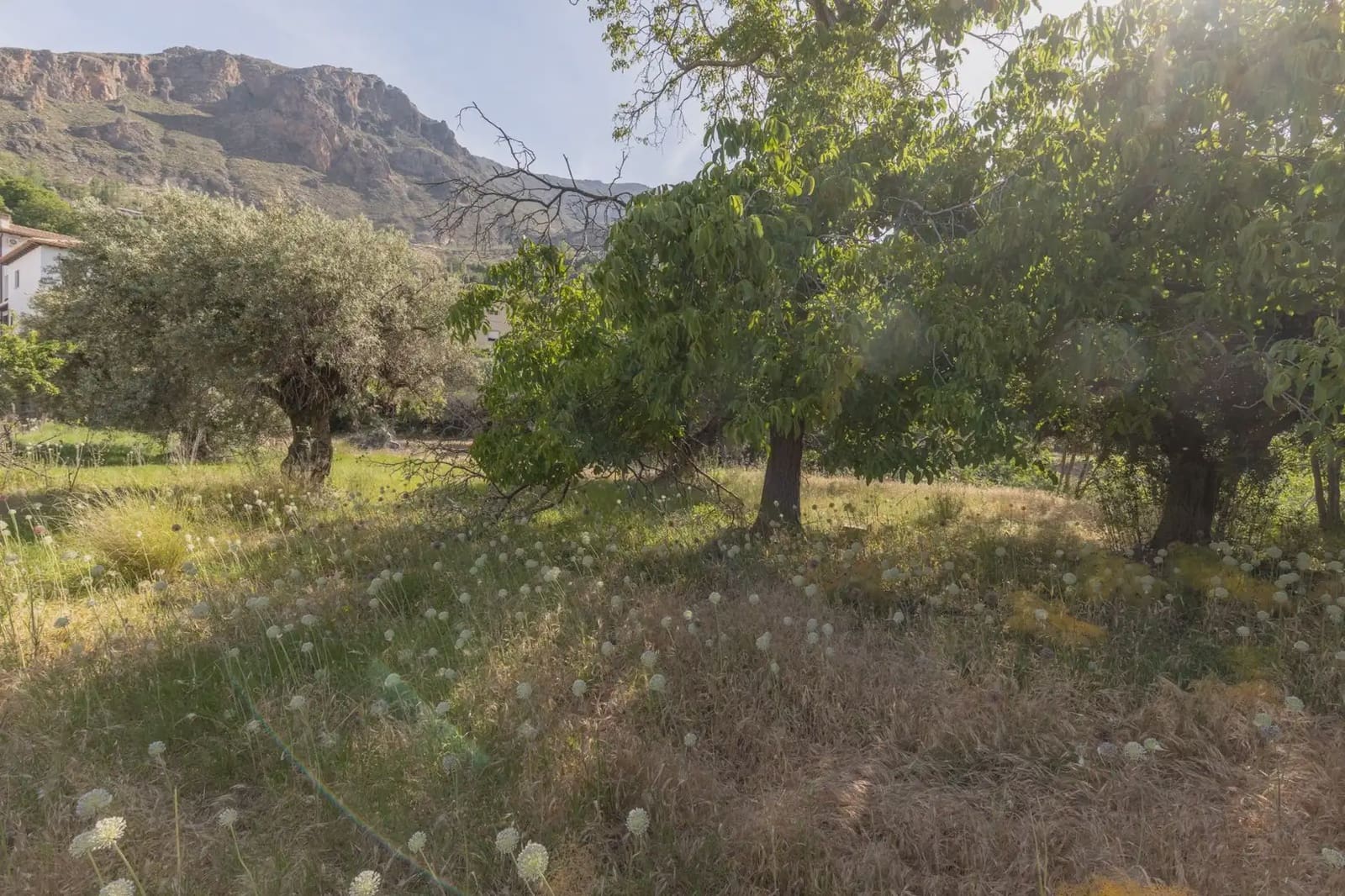 Bauplatz zu verkaufen in Guejar Sierra - 175.000 € (Ref: 9909813)