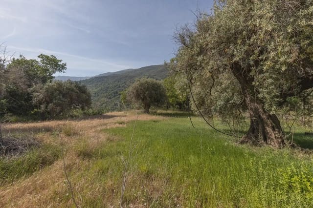 Bauplatz zu verkaufen in Güéjar Sierra - 175.000 € (Ref: 9909813)