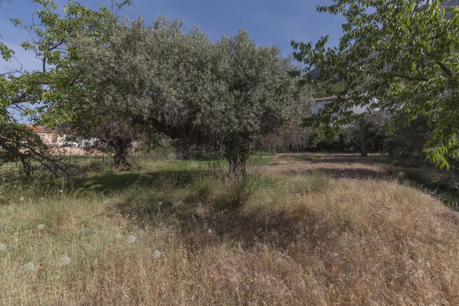 Bauplatz zu verkaufen in Guejar Sierra - 175.000 € (Ref: 9909813)