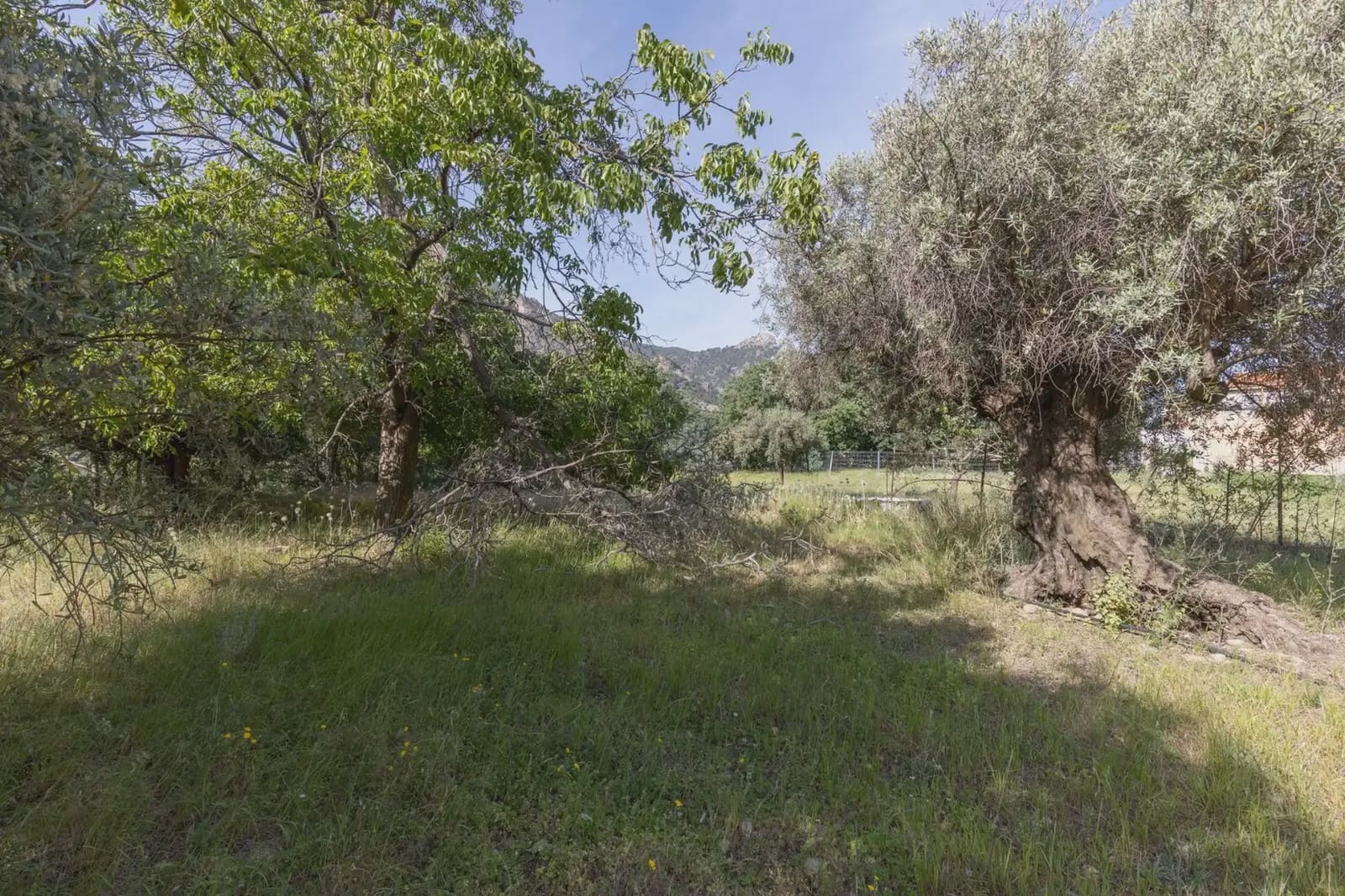 Bauplatz zu verkaufen in Guejar Sierra - 175.000 € (Ref: 9909813)