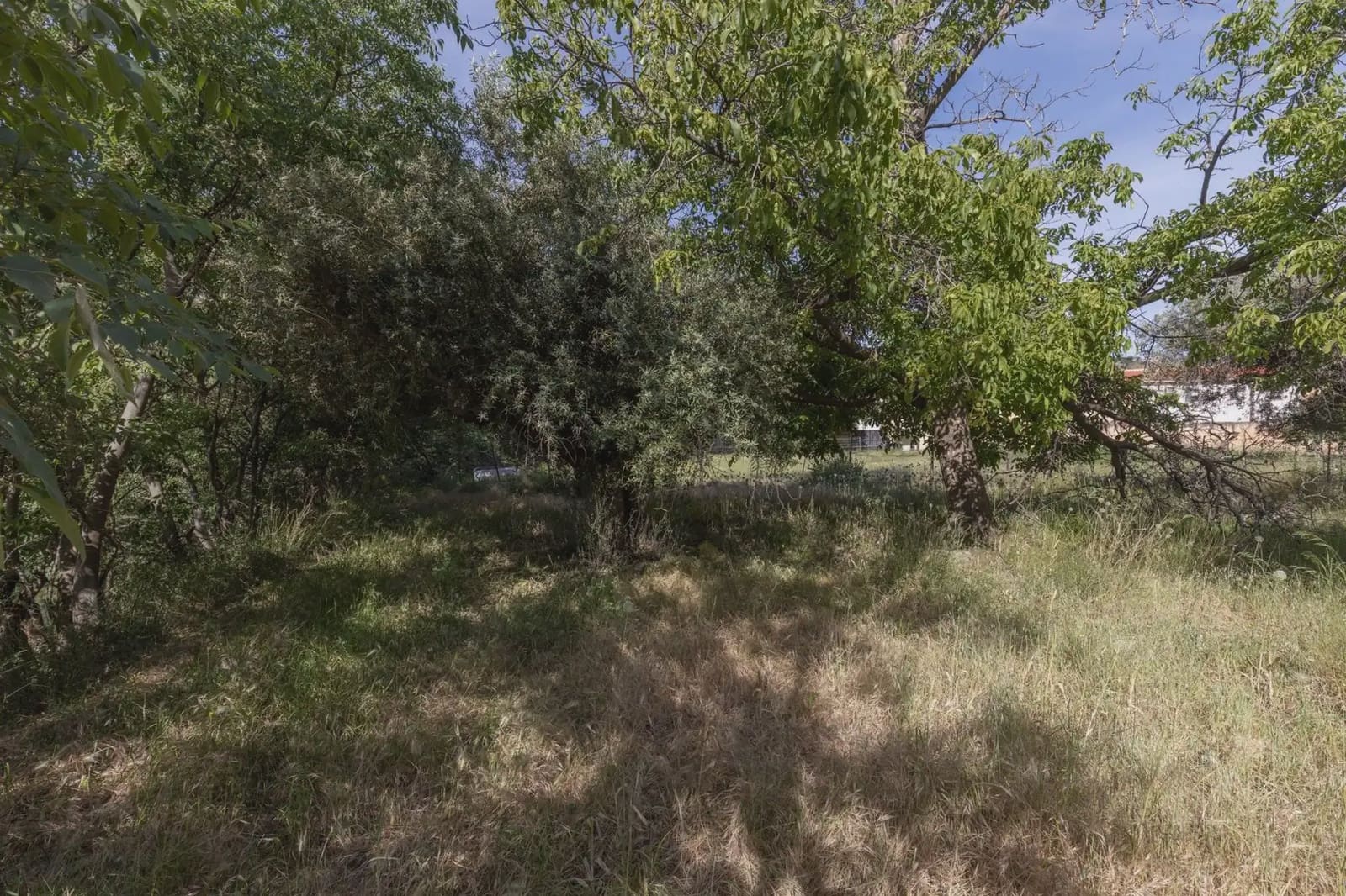 Bauplatz zu verkaufen in Guejar Sierra - 175.000 € (Ref: 9909813)