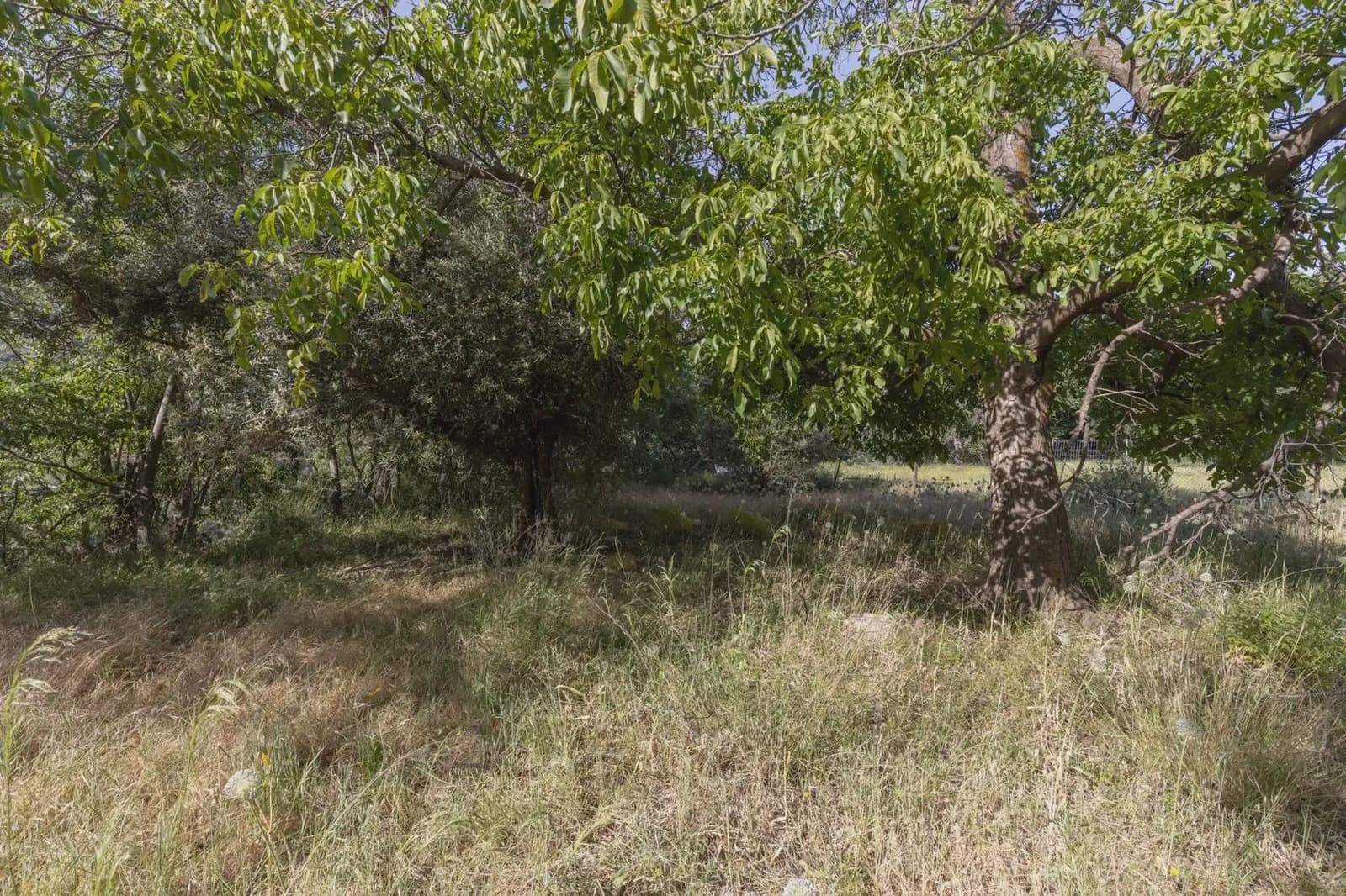 Bauplatz zu verkaufen in Guejar Sierra - 175.000 € (Ref: 9909813)