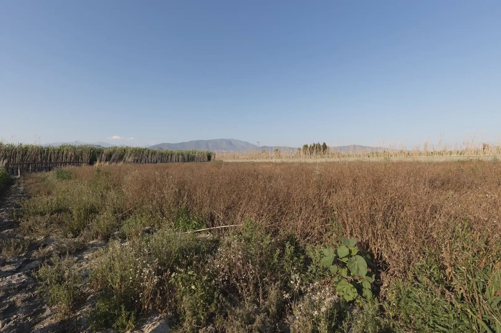 Tomt till salu i Motril - 70 000 € (Ref: 9919130)