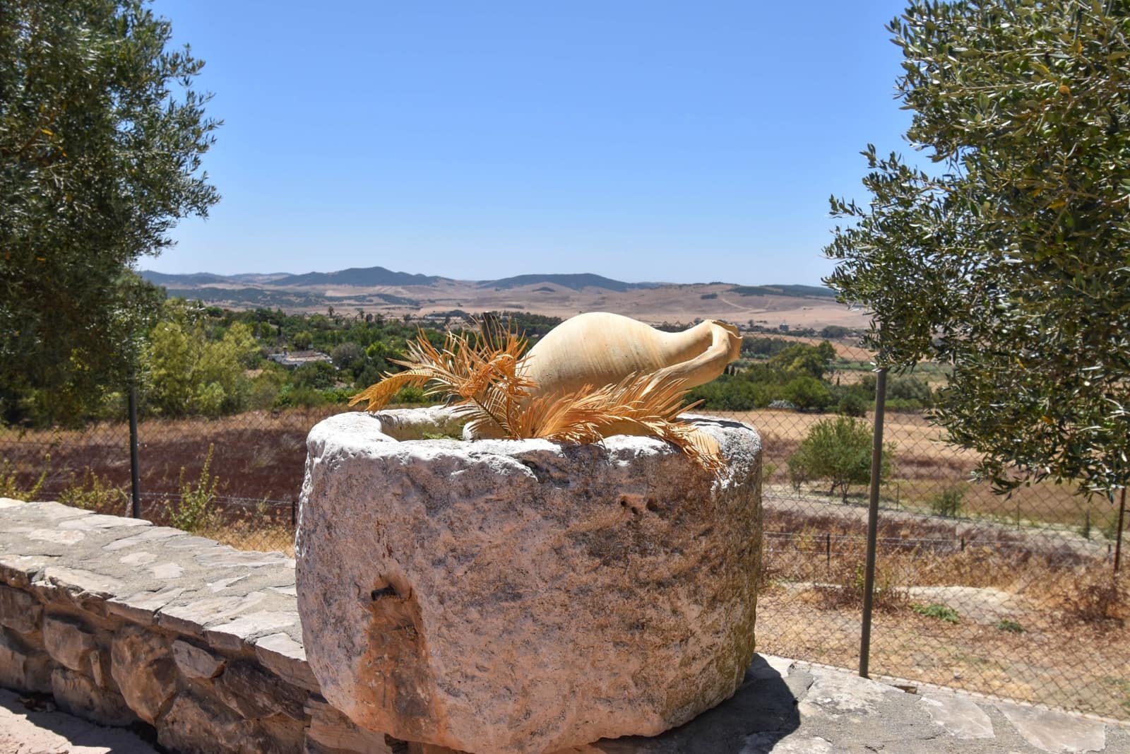 5 quarto Quinta/Casa Rural para venda em Medina-Sidonia - 699 900 € (Ref: 10007192)
