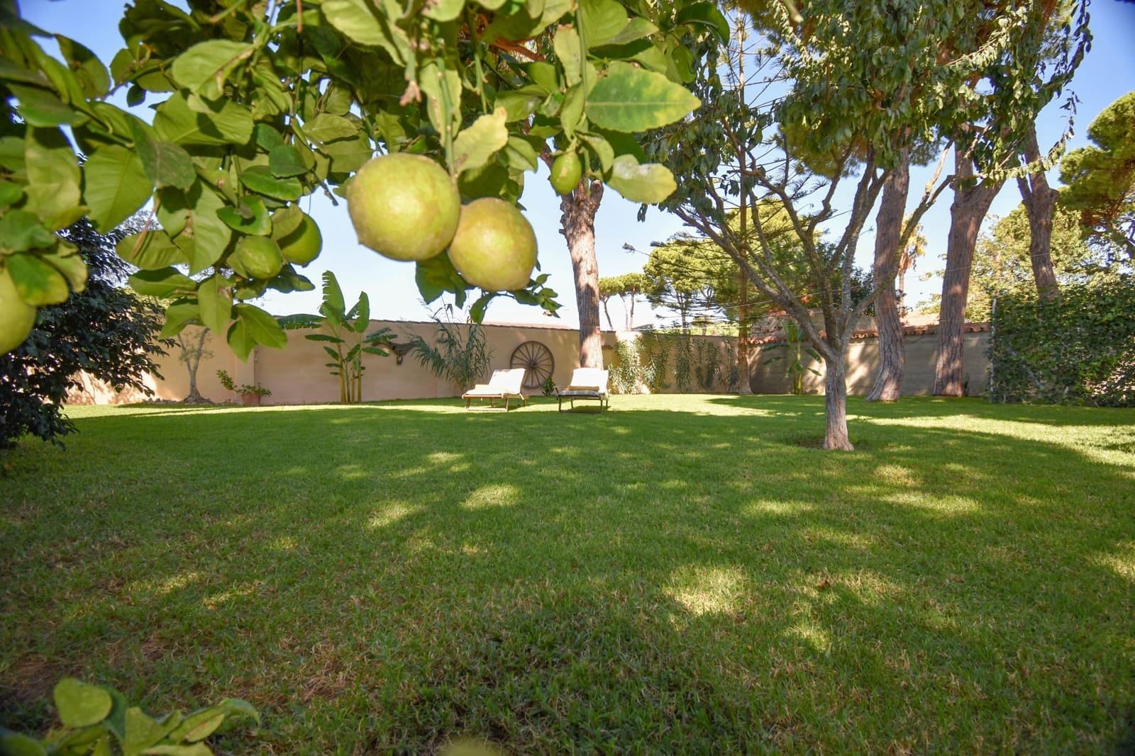 7 camera da letto Finca/Casa di Campagna in vendita in Chiclana de la Frontera con piscina garage - 769.900 € (Rif: 10125068)