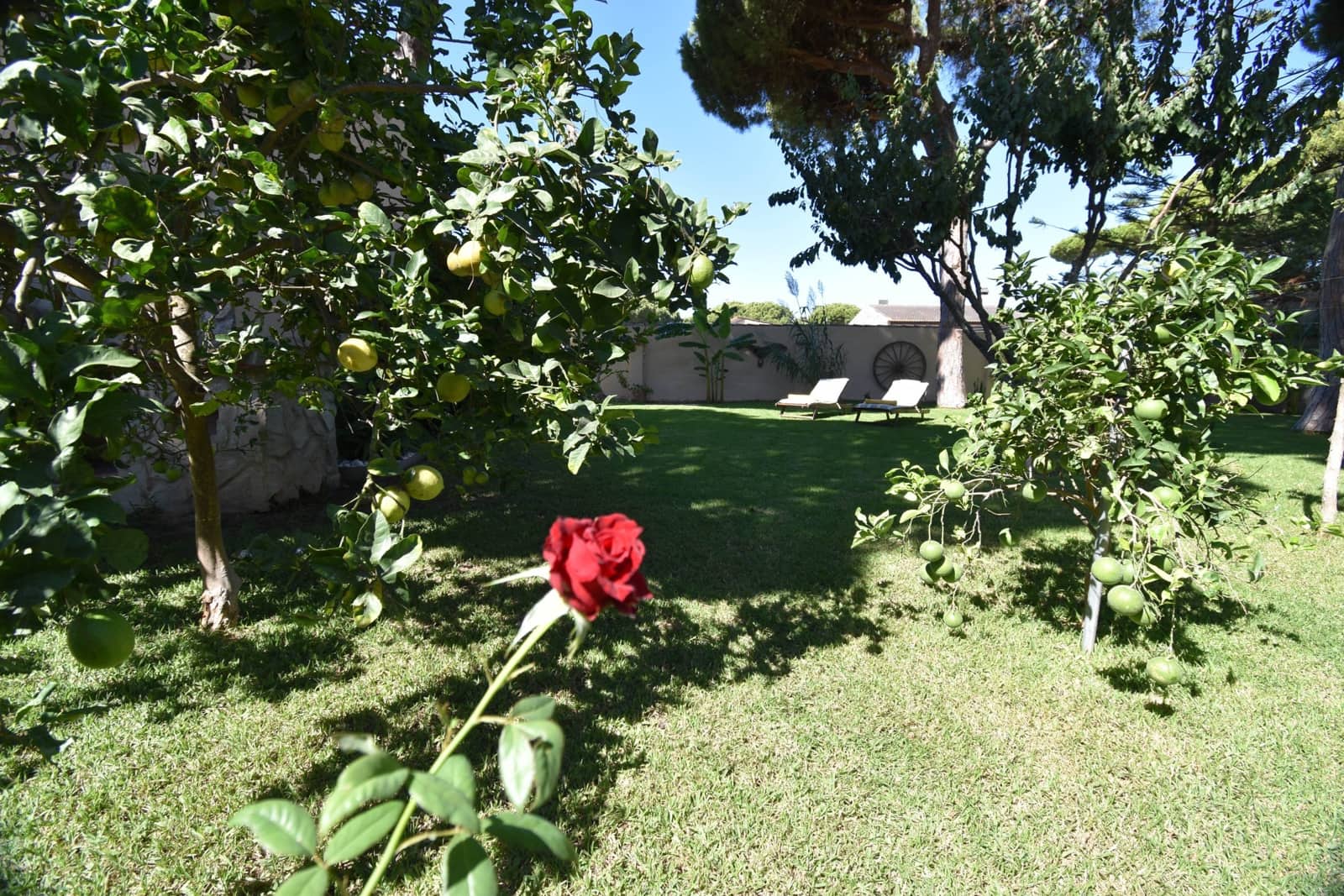 7 camera da letto Finca/Casa di Campagna in vendita in Chiclana de la Frontera con piscina garage - 769.900 € (Rif: 10125068)