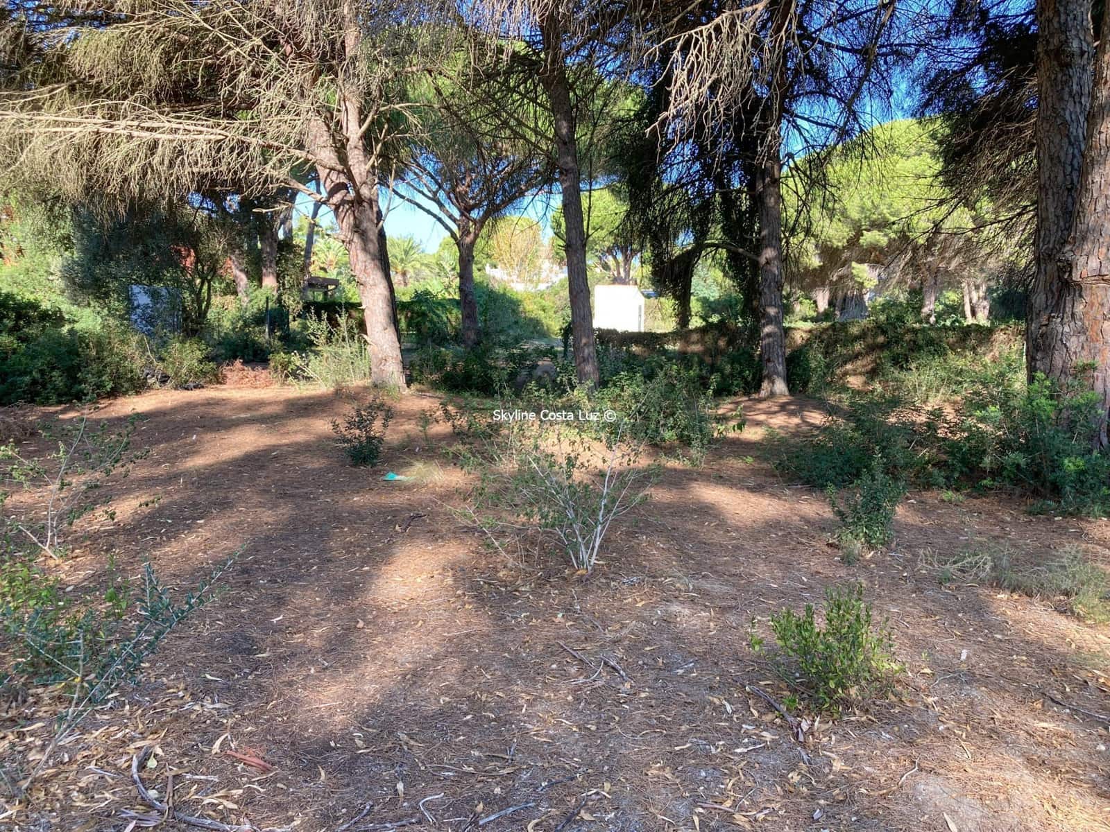 Undeveloped Land for sale in Chiclana de la Frontera - € 259,900 (Ref: 7936956)