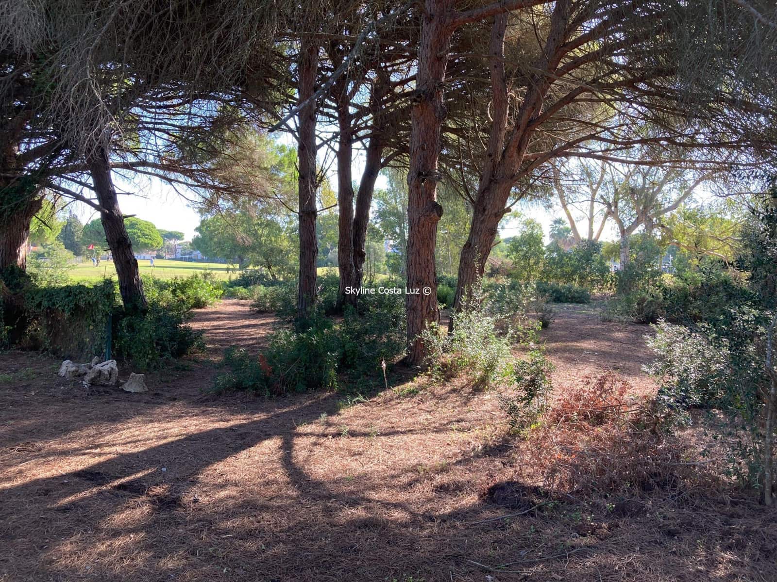 Undeveloped Land for sale in Chiclana de la Frontera - € 259,900 (Ref: 7936956)