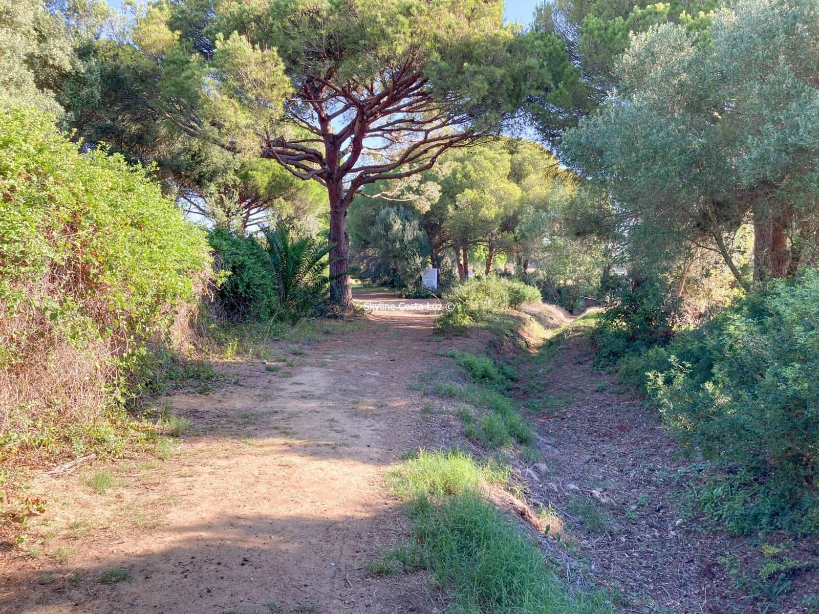 Undeveloped Land for sale in Chiclana de la Frontera - € 259,900 (Ref: 7936956)