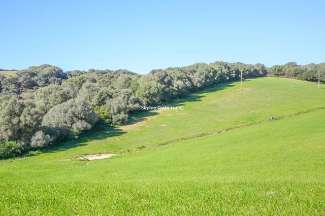 Undeveloped Land for sale in Vejer de la Frontera - € 350,000 (Ref: 8194026)