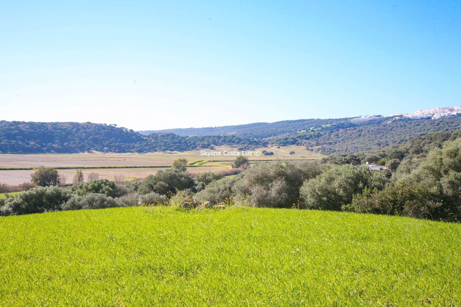 Grunde uden byggetilladelser til salg i Vejer de la Frontera - € 350.000 (Ref: 8194026)