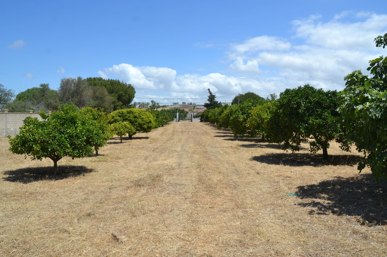 Landgrundstück zu verkaufen in Chiclana de la Frontera - 269.900 € (Ref: 8397721)