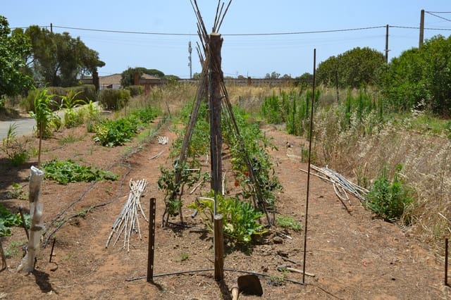 4 soveværelse Finca/Landehus til salg i Chiclana de la Frontera - € 549.900 (Ref: 8427890)