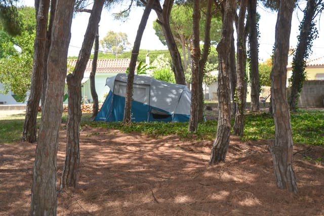 4 slaapkamer Finca/Landhuis te koop in Chiclana de la Frontera - € 549.900 (Ref: 8427890)