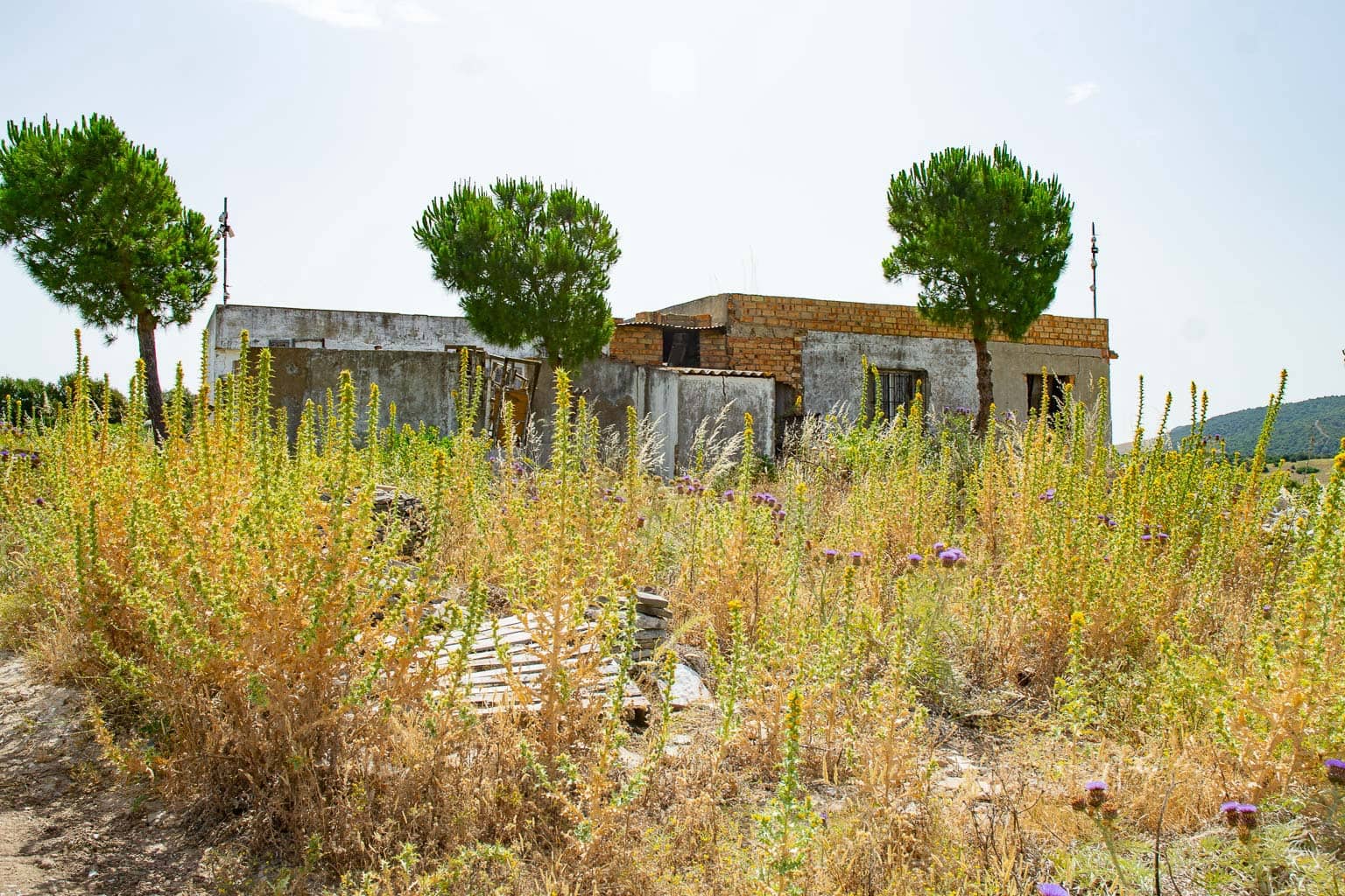 1 slaapkamer Finca/Landhuis te koop in Medina-Sidonia - € 179.000 (Ref: 9058407)