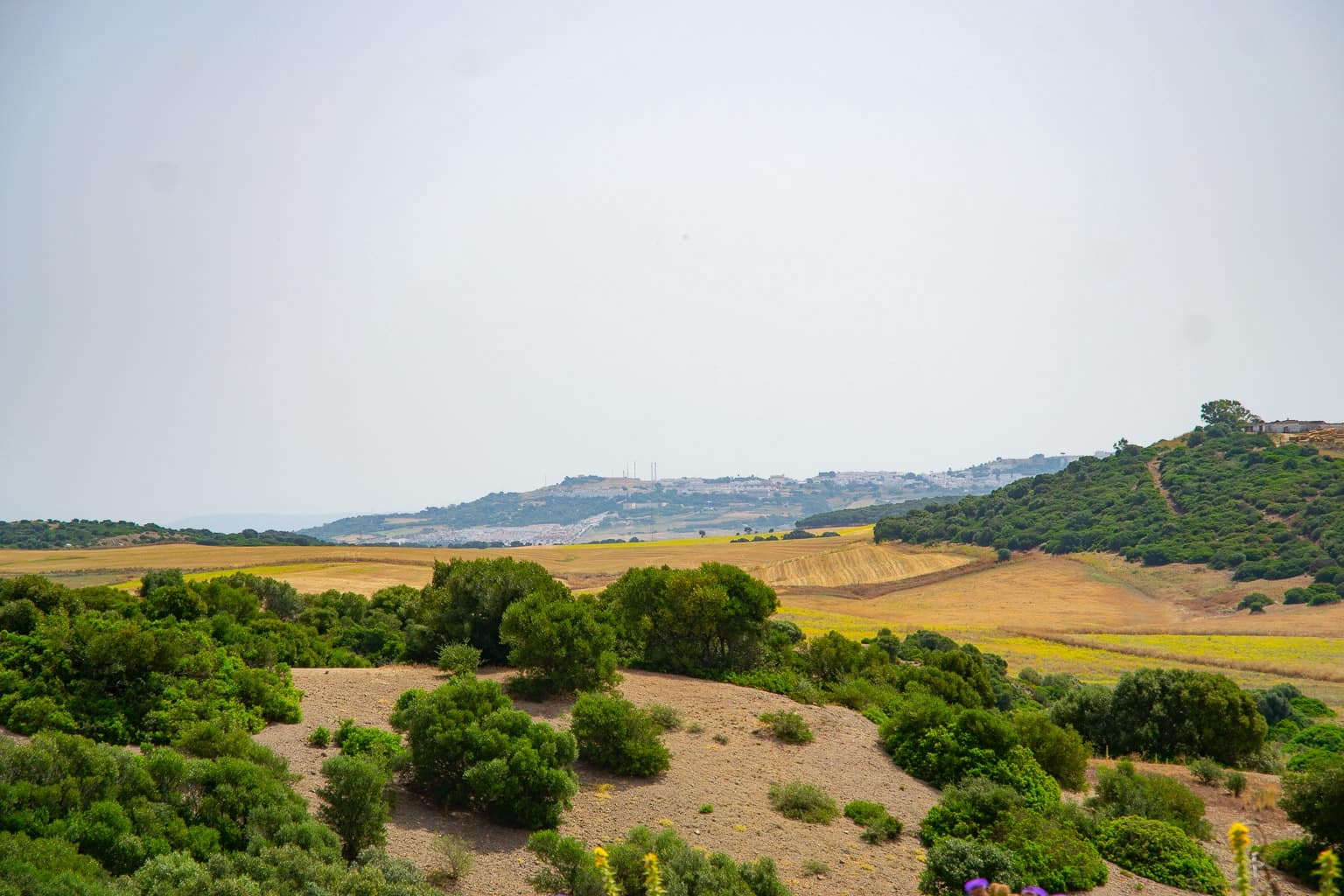 1 slaapkamer Finca/Landhuis te koop in Medina-Sidonia - € 179.000 (Ref: 9058407)