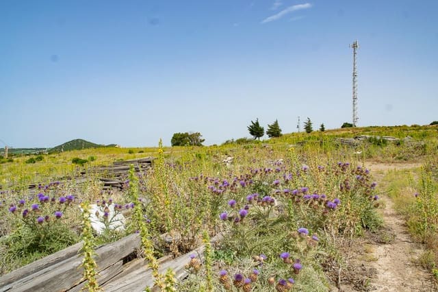 1 soveværelse Finca/Landehus til salg i Medina-Sidonia - € 179.000 (Ref: 9058407)