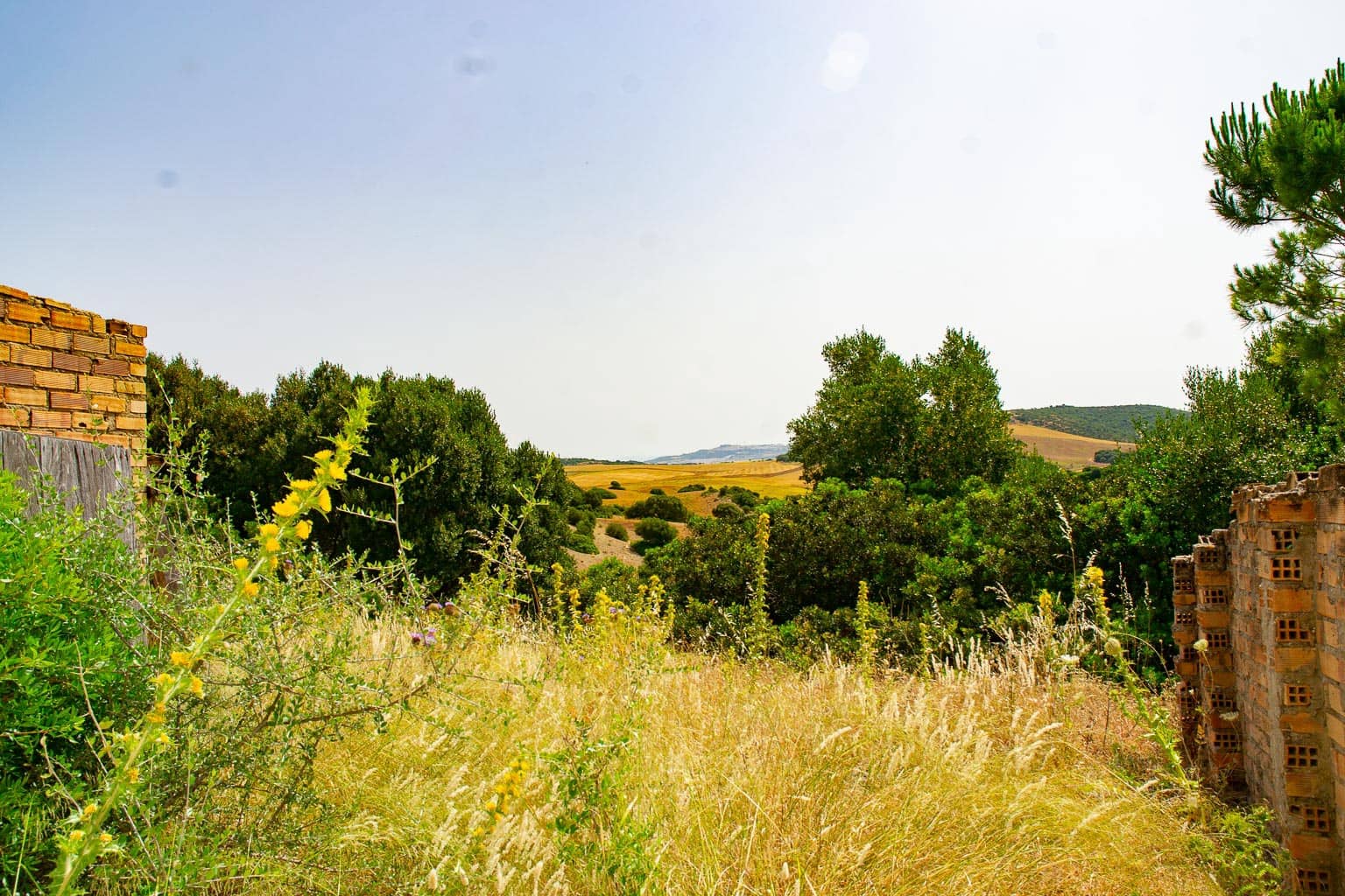 1 slaapkamer Finca/Landhuis te koop in Medina-Sidonia - € 179.000 (Ref: 9058407)