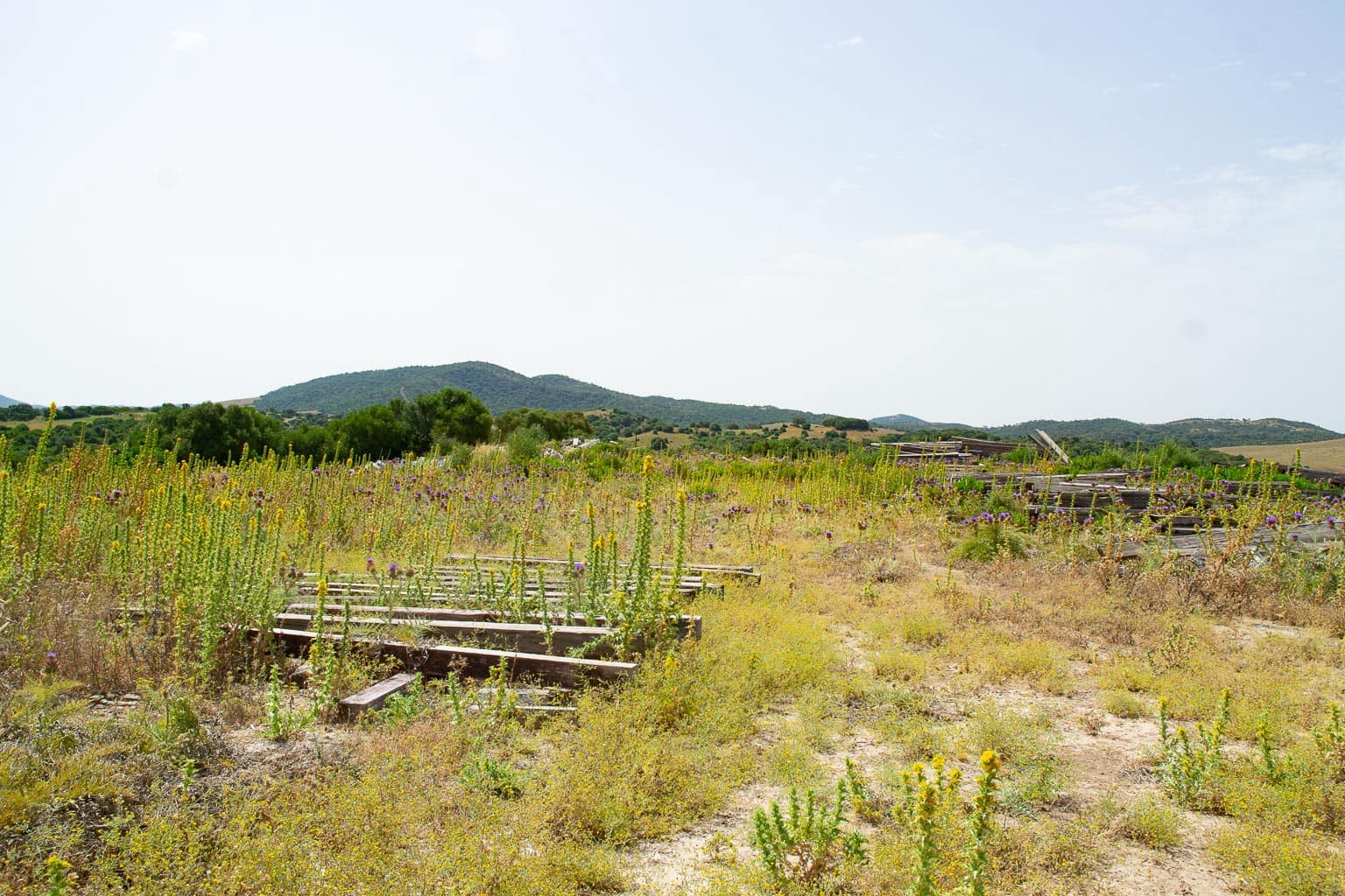 1 slaapkamer Finca/Landhuis te koop in Medina-Sidonia - € 179.000 (Ref: 9058407)