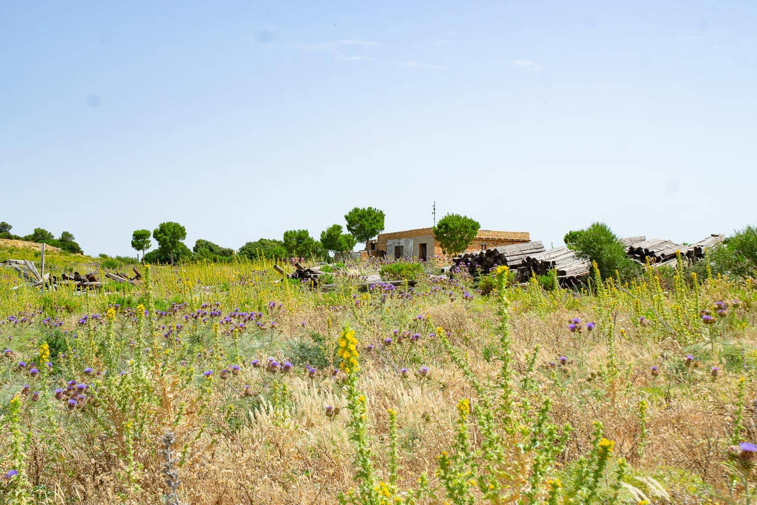1 slaapkamer Finca/Landhuis te koop in Medina-Sidonia - € 179.000 (Ref: 9058407)