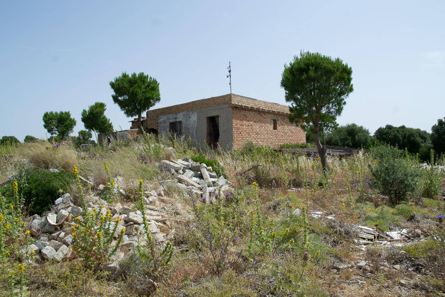 1 slaapkamer Finca/Landhuis te koop in Medina-Sidonia - € 179.000 (Ref: 9058407)
