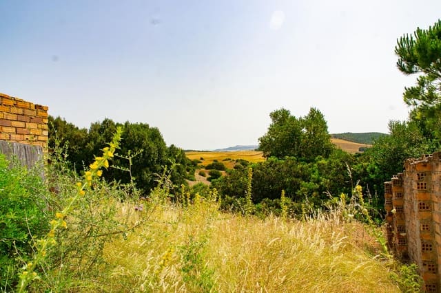 1 soveværelse Finca/Landehus til salg i Medina-Sidonia - € 179.000 (Ref: 9058407)