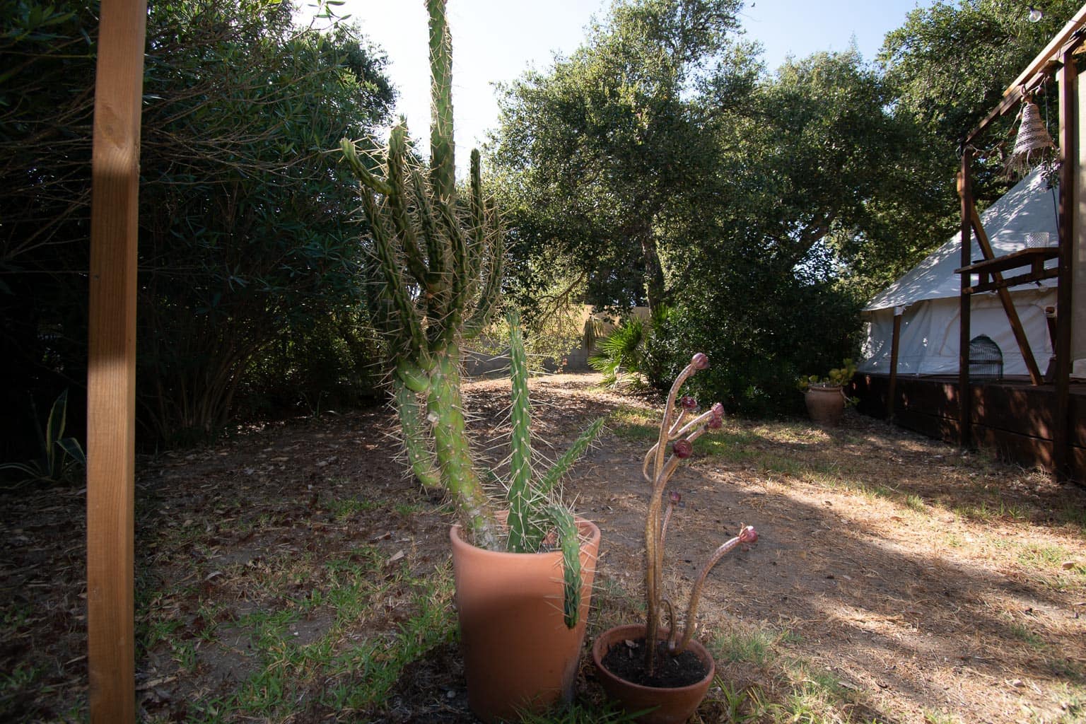 4 soverom Finca/Herregård til salgs i Chiclana de la Frontera - € 389 900 (Ref: 9216341)