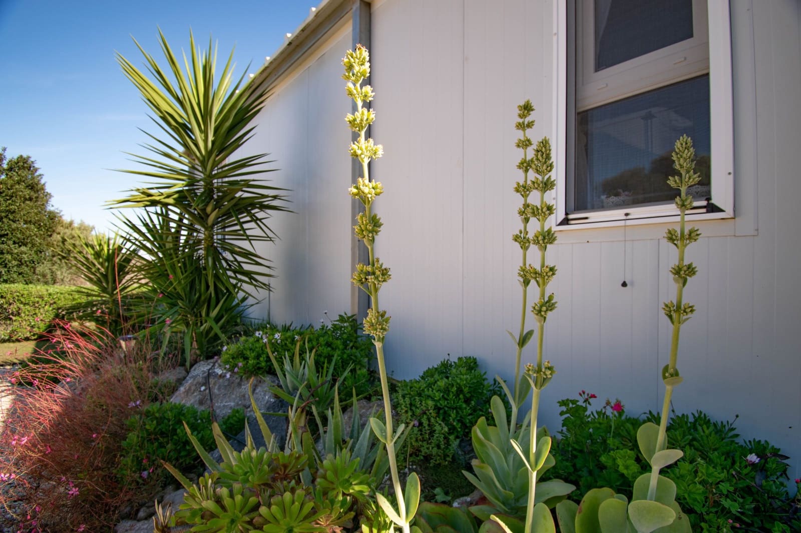 4 camera da letto Villa in vendita in Chiclana de la Frontera - 269.900 € (Rif: 9470569)