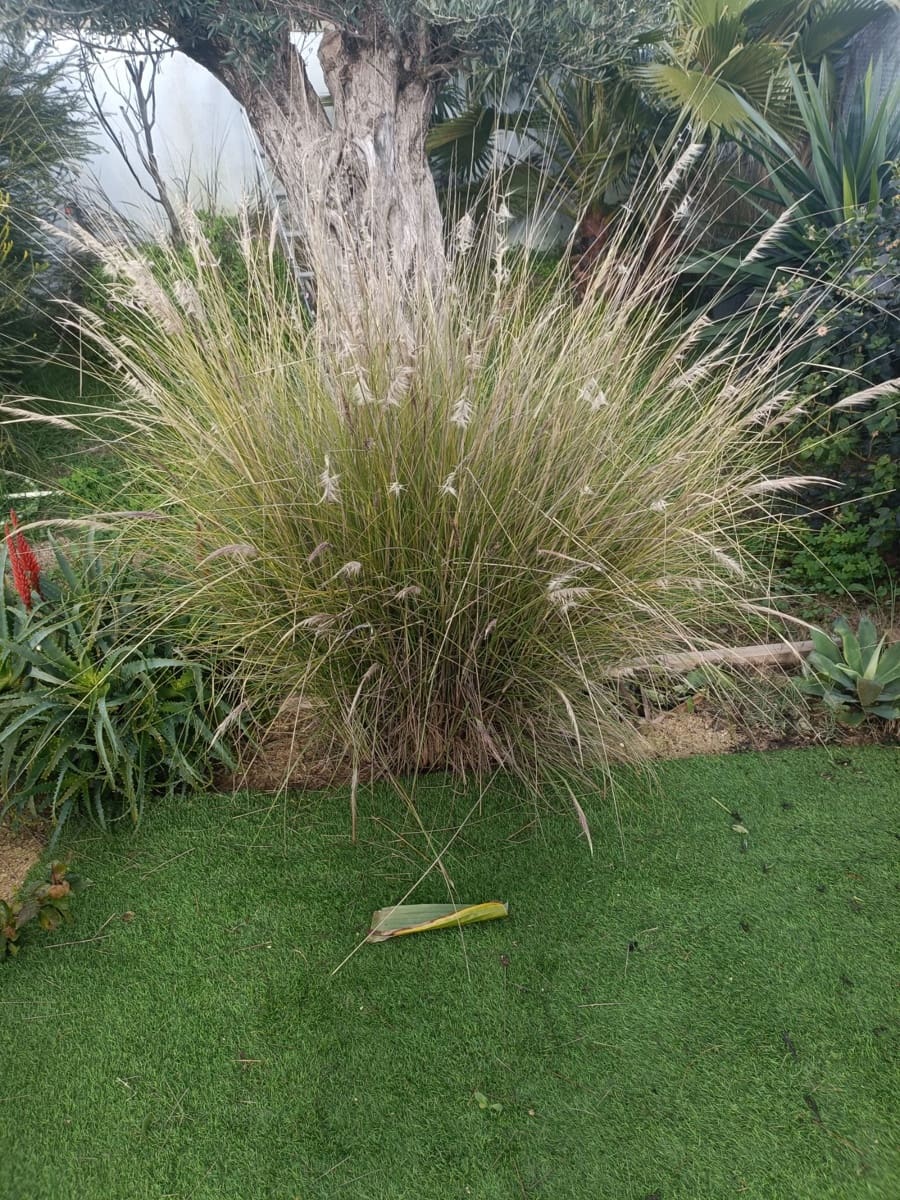 6 slaapkamer Villa te koop in Chiclana de la Frontera - € 749.900 (Ref: 9740164)