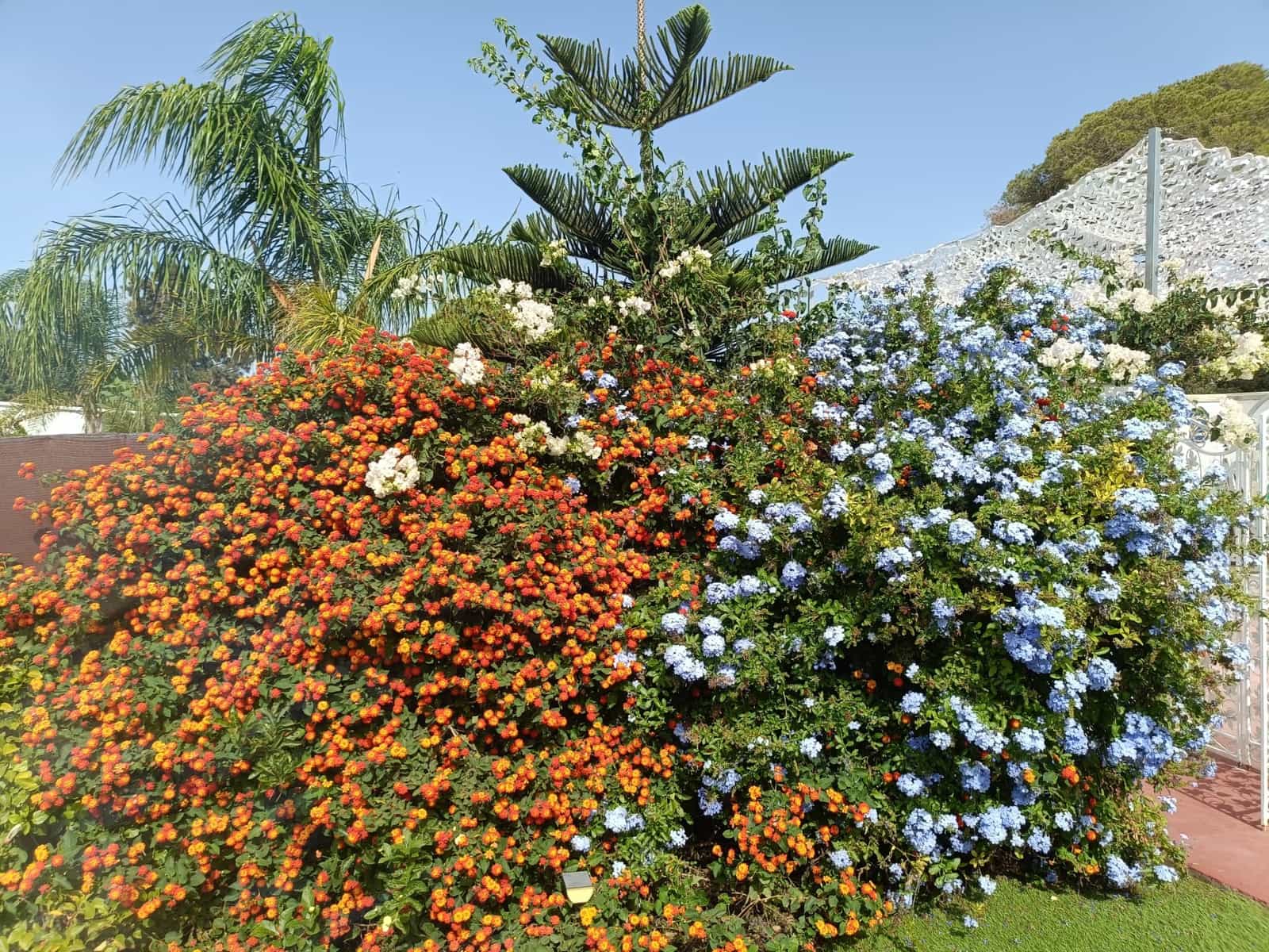 6 slaapkamer Villa te koop in Chiclana de la Frontera - € 749.900 (Ref: 9740164)