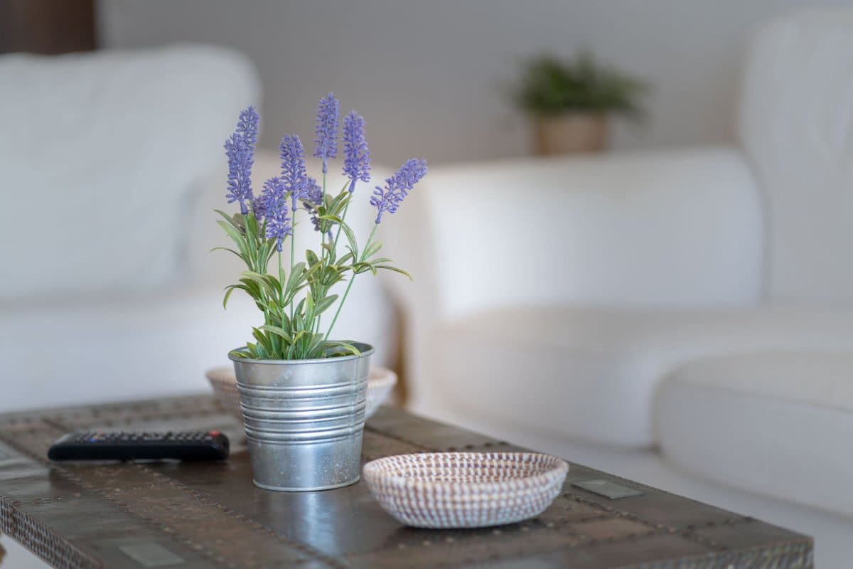 2 sovrum Lägenhet att hyra i Fuengirola med pool - 1 350 € (Ref: 6886550)