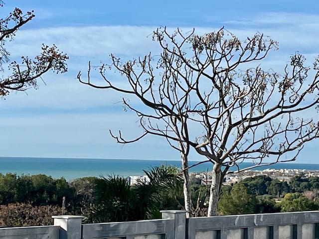 4 makuuhuone Huvila myytävänä paikassa Vilanova i la Geltru mukana uima-altaan 
autotalli - 1 890 000 € (Ref: 8782177)