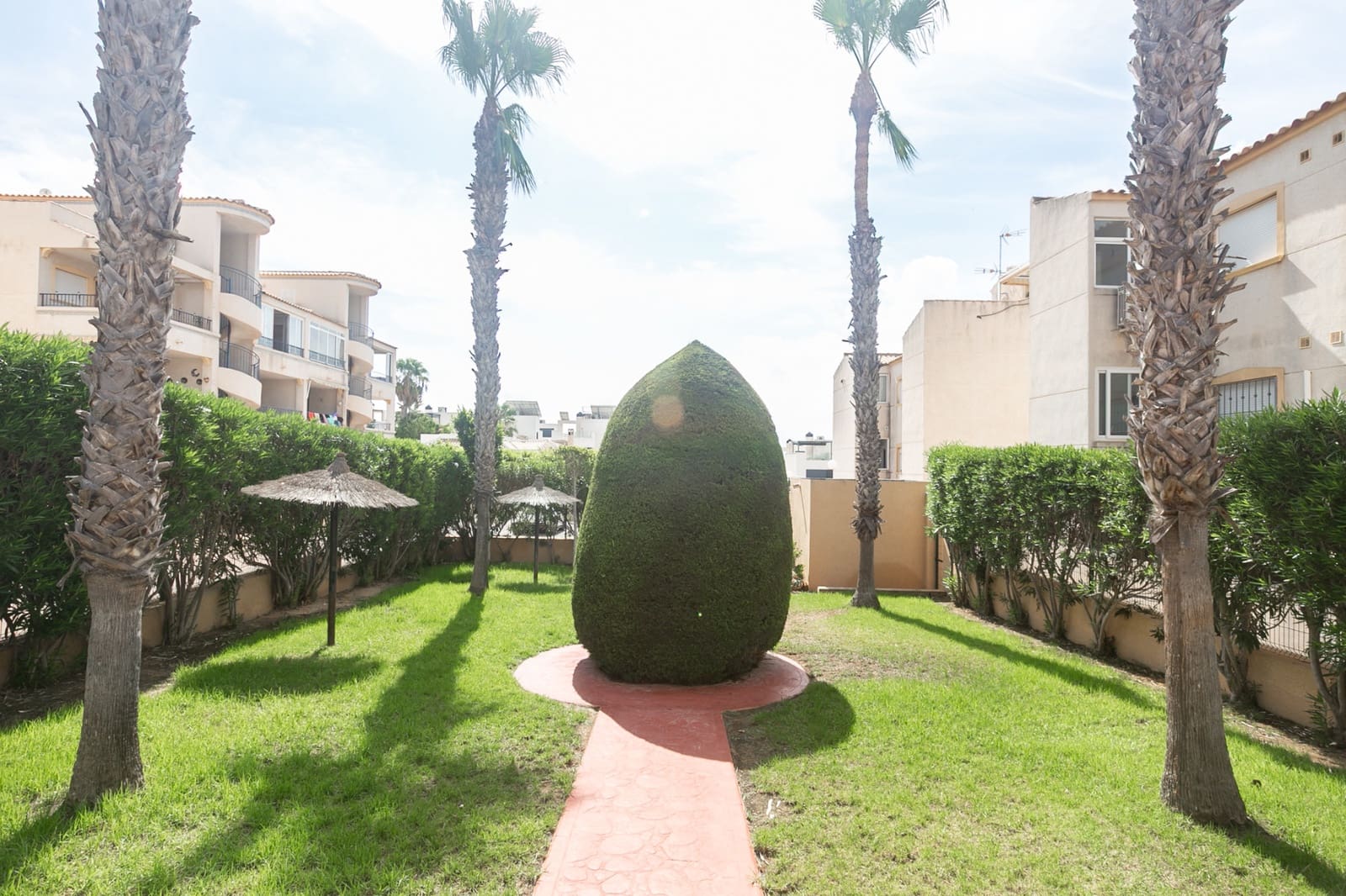 2 bedroom Apartment for rent in Orihuela Costa with pool - € 850 (Ref: 10021216)