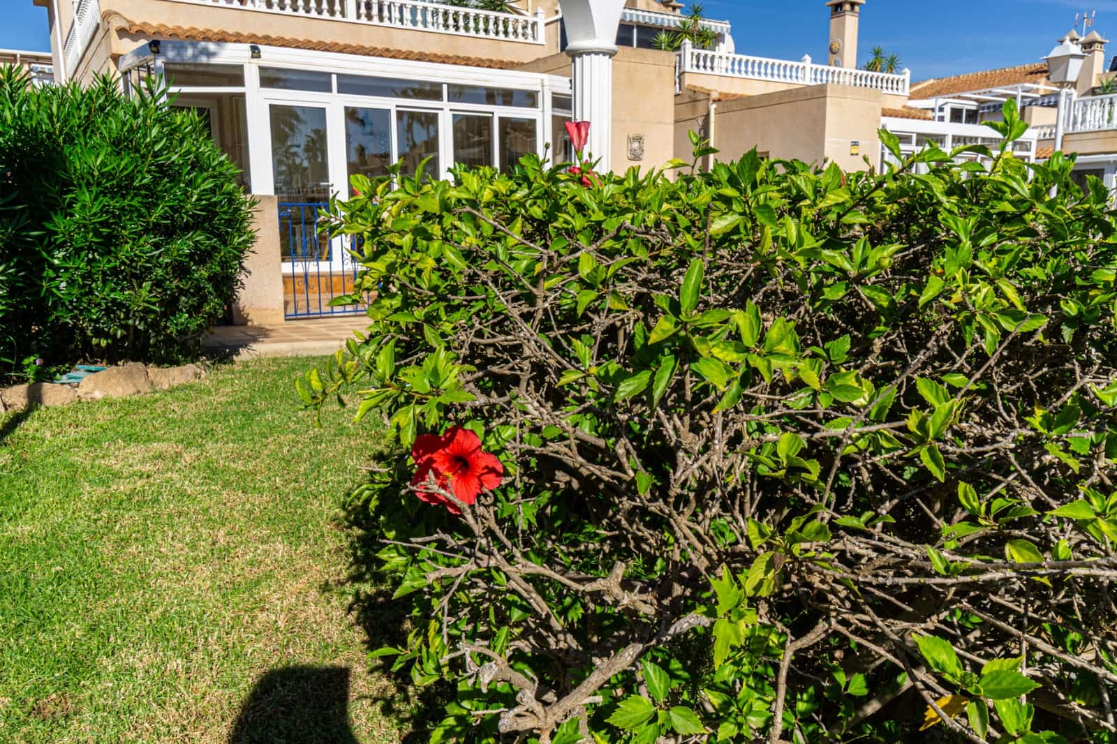 2 soveværelse Lejlighed til salg i Playa Flamenca med swimmingpool garage - € 215.000 (Ref: 10172135)