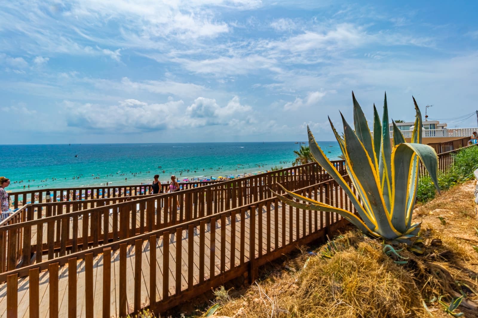 3 camera da letto Villa in vendita in La Zenia con piscina - 1.250.000 € (Rif: 6275048)